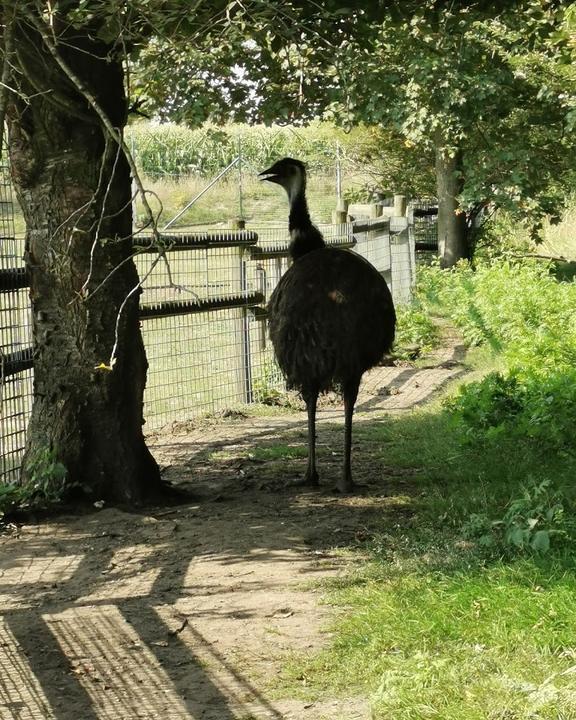 Café Manege im Tierpark Nadermann